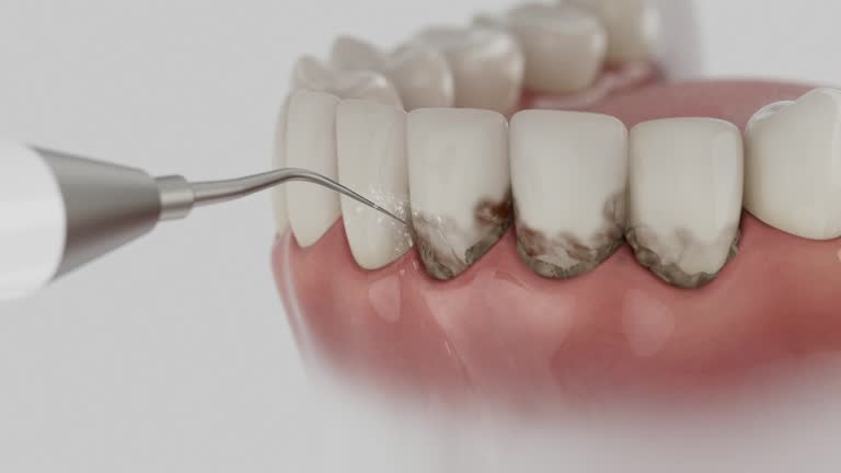 Reliable Dental contractor in Wolf Creek, UT by Dentist Open Now